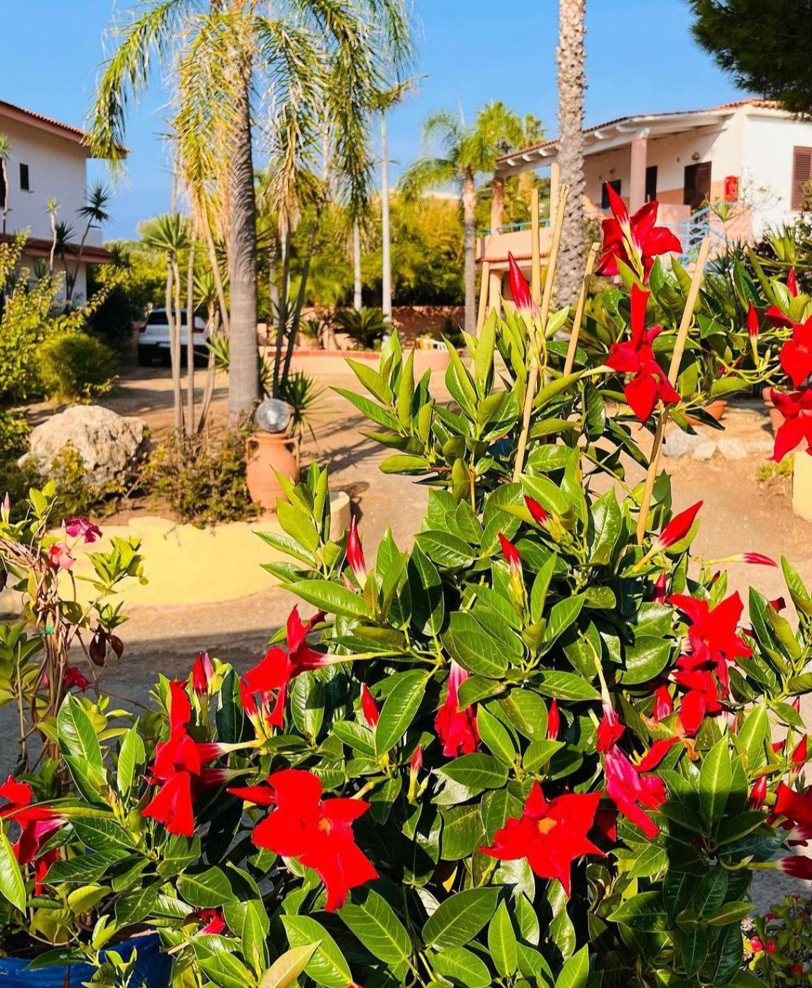 Hotel Grotticelle Capo Vaticano Ngoại thất bức ảnh